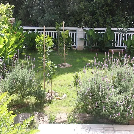 Maricevic Korcula Town